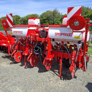 Maschio