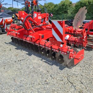 Maschio